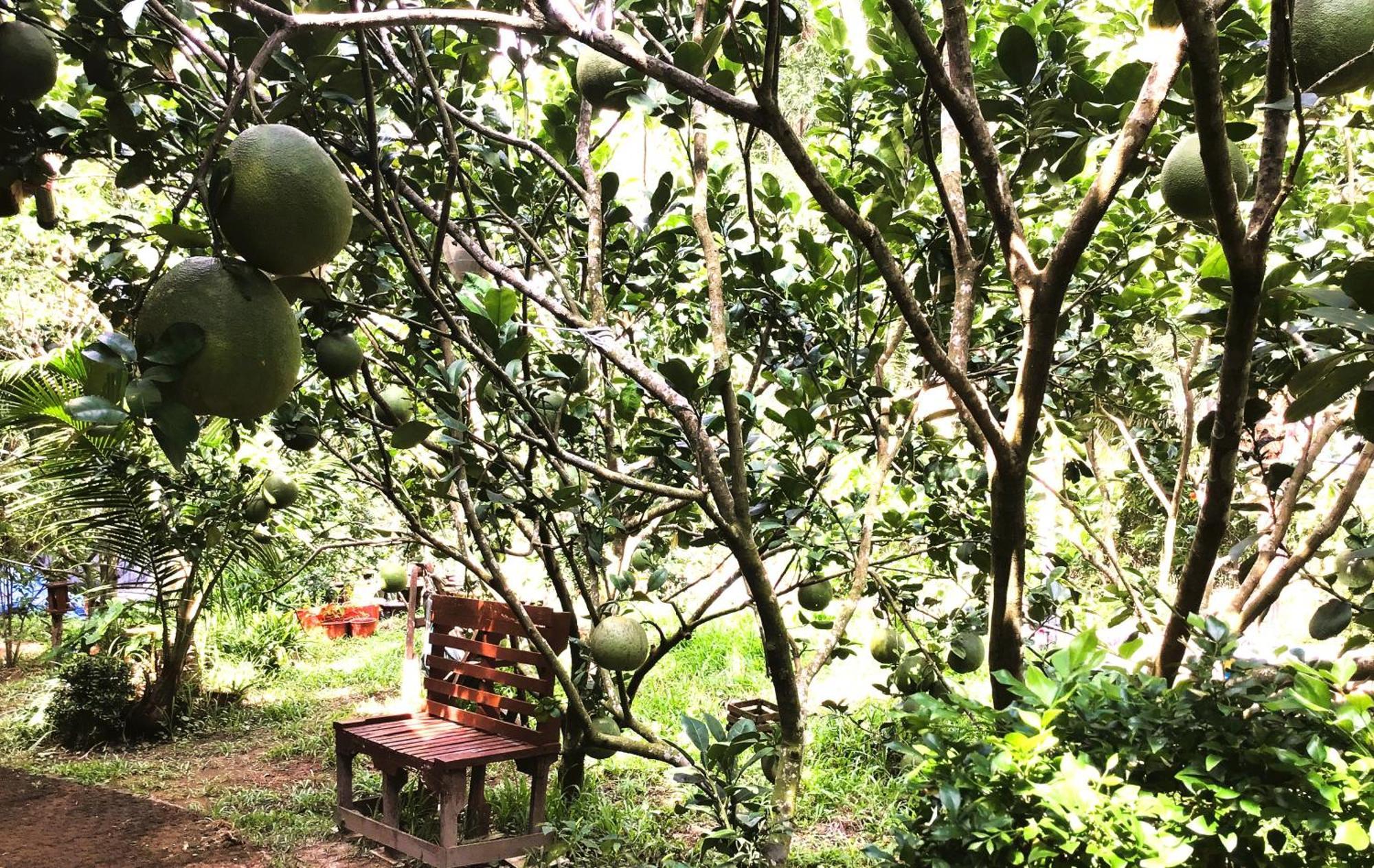 Ben Tre Farm Stay Екстер'єр фото