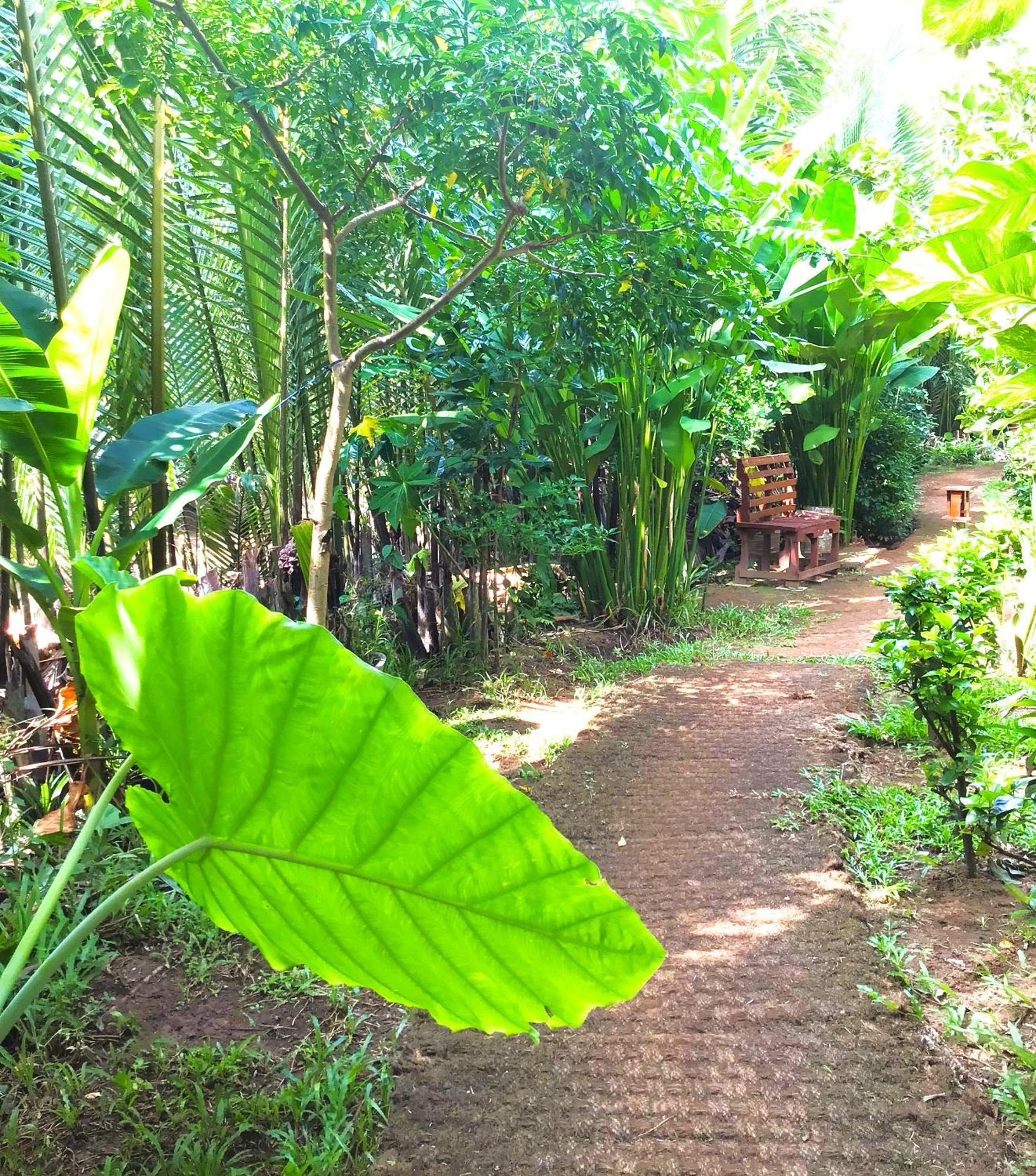 Ben Tre Farm Stay Екстер'єр фото